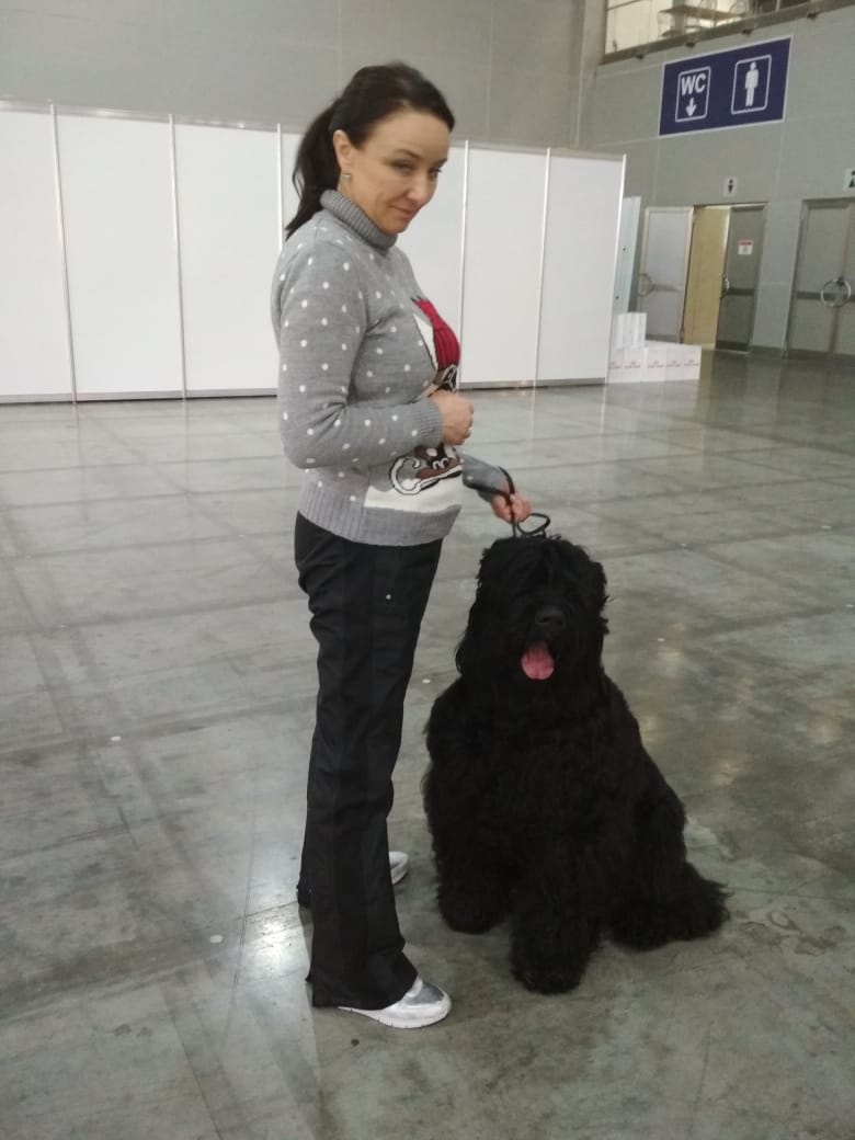 Евразия, Крокус Экспо